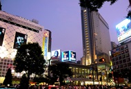 Most Attractive Industries in Japan